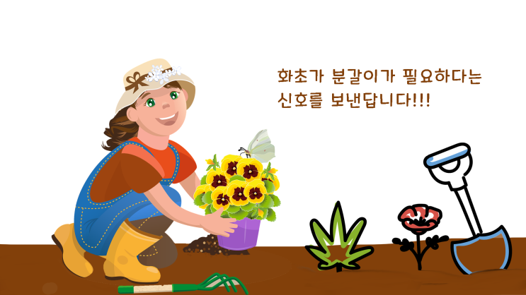 분갈이 시기를 알 수 있는 방법과 분갈이의 필요성
