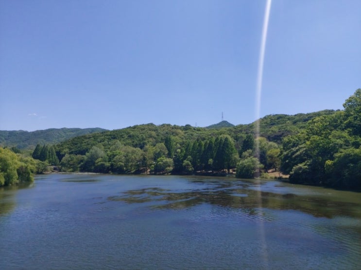 과천 서울대공원 둘레길 동물원 둘레길 산림욕장둘레길/걷기좋은 힐링장소 무료개방 과천 서울대공원 둘레길 동물원 둘레길 산림욕장둘레길/걷기좋은 힐링장소 무료개방