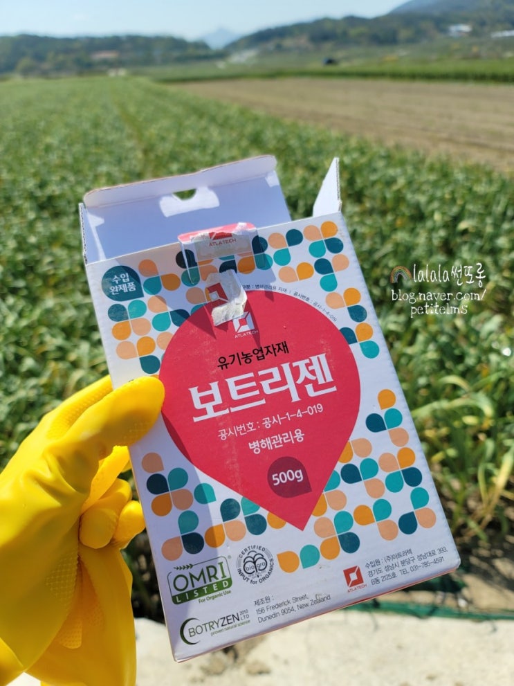  유기농 무농약 친환경농법은 무엇일까요? 차이점과 재배법