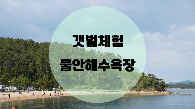  아이들과 함께 갯벌체험가요! 거제 물안해수욕장