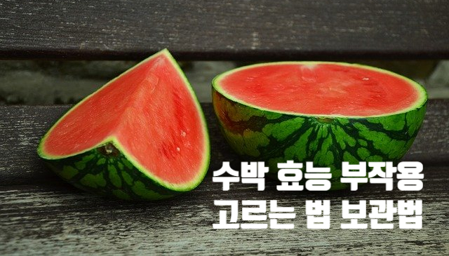 항산화 부종 염증 수박 효능 (ft. 부작용 고르는 법 보관 방법) 수박껍질 음식물 칼로리