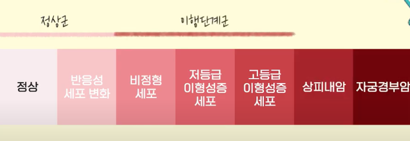 자궁 경부 비정형 세포의 관리 관찰 5