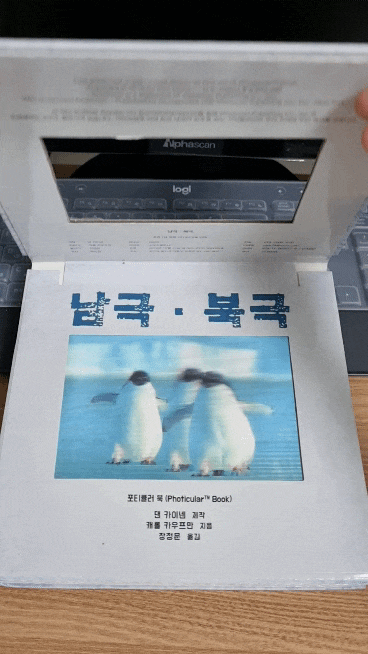  살아 움직이는 책 '포티큘러 북' 으로 아이의 호기심을 자극해 보아요!