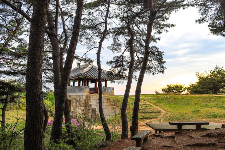  상당산성 최애 등산코스! 초보자도 굿~