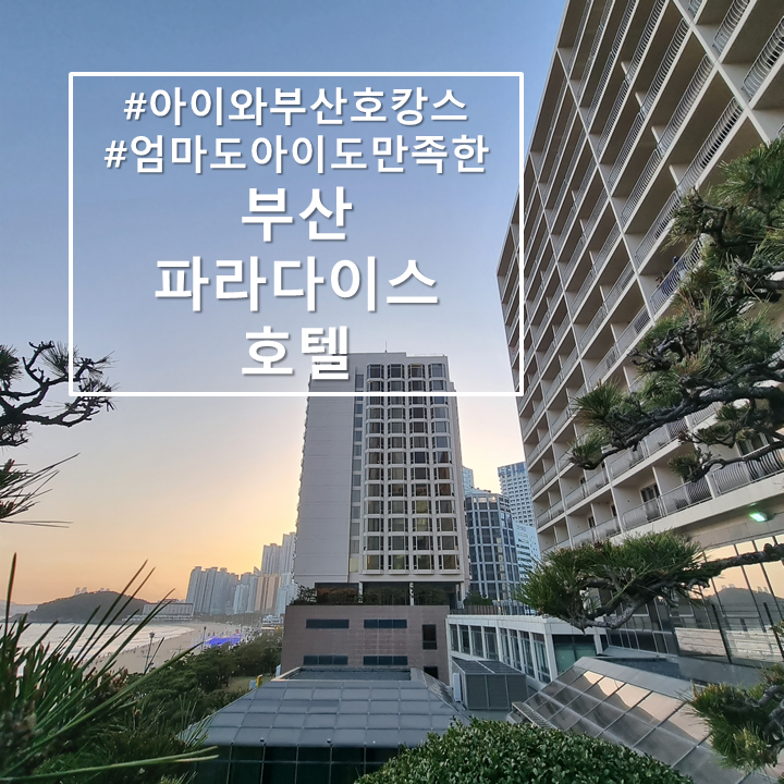  4살 아이와 함께 5성급 부산 해운대 파라다이스 호캉스 예약부터 일정까지
