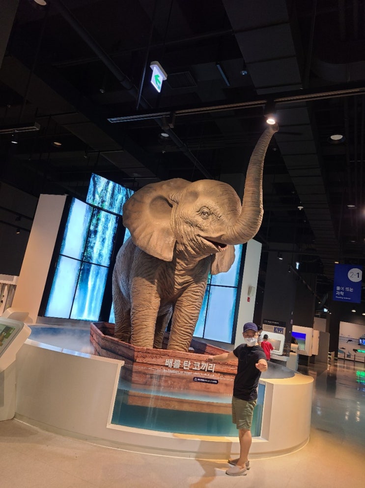  부산 가볼만한 곳 부산 실내 국립부산과학관 다녀온 후기 재밌었어요.