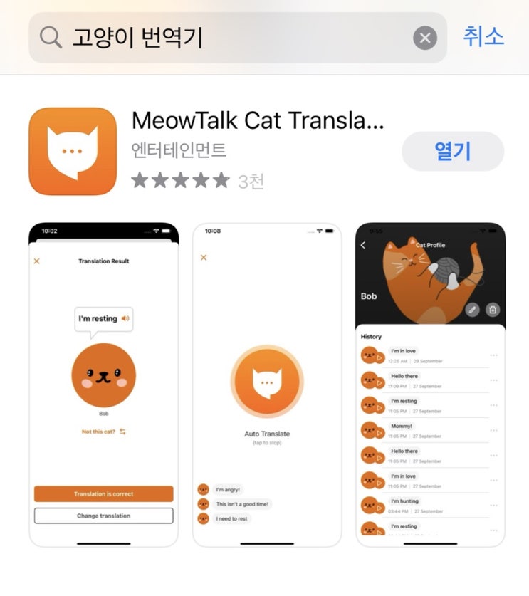  궁금한 내 고양이 언어 / 고양이 언어 번역기 - 미야오톡(MeowTalk) 솔직리뷰