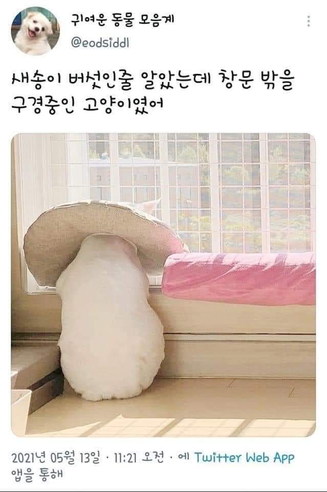  가장 강력한 효과를 가진 암호해독 기법