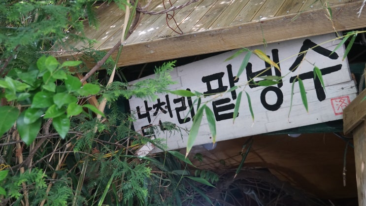  부산 남천동 빙수 맛집 / 남천리 팥빙수