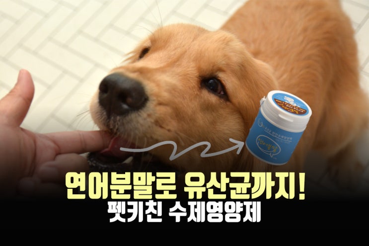  강아지유산균, 이제 펫키친 연어분말로!