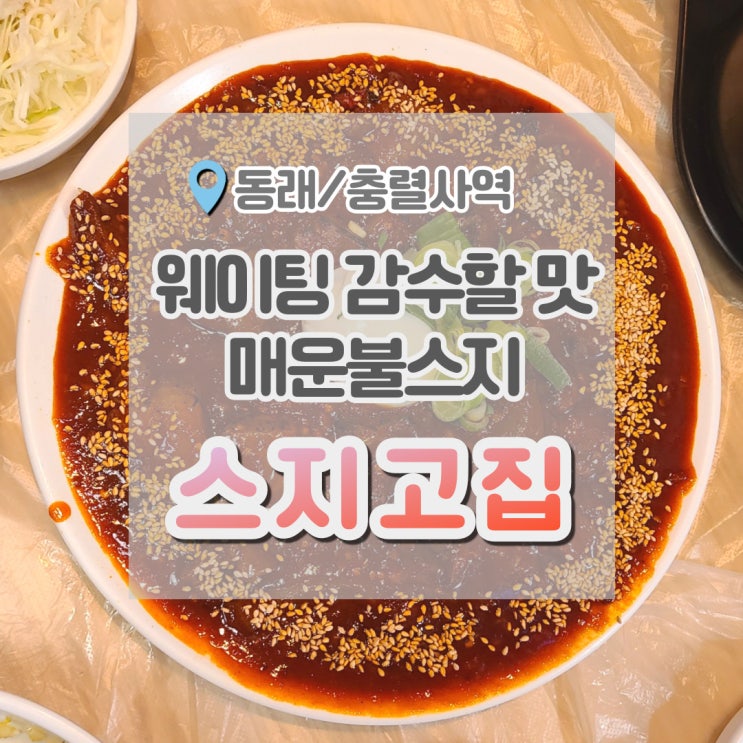  스지고집 매운데 맛있어요ㅠ 웨이팅 할 만 했던 부산 동래 술집