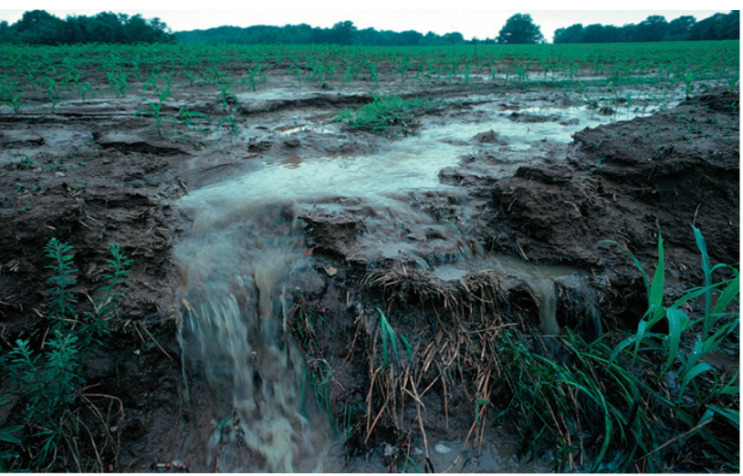  A breakthrough in detection limits for δ13CDOC measurements of surface waters