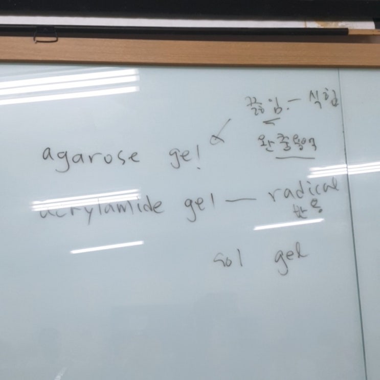 3주차 실험: 미지 박테리아의 동정