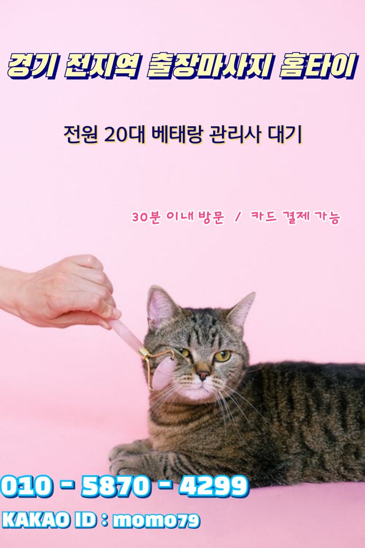  수원출장마사지 신동 지동 탑동 매탄동 세류동 권선동 정자동 화서동 우만동 연무동 인계동 홈타이
