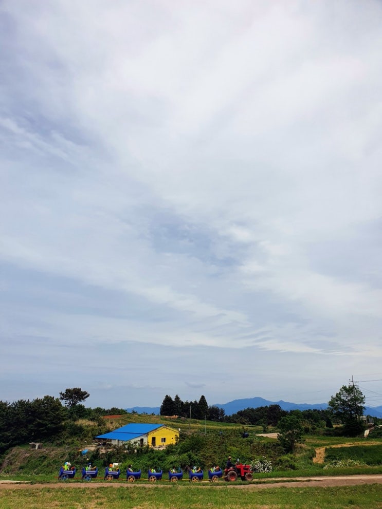  남해양떼목장-양모리학교,상상양떼목장, 양마르뜨 어디로 가볼까요?
