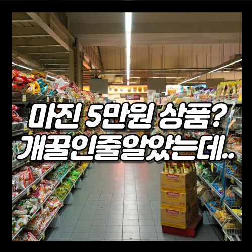  폐쇄몰에서 브랜드상품 소싱 실패한 SSUL