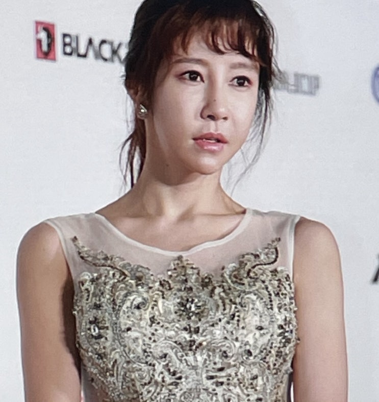 채민서 음주운전 결혼 이혼 열애 전진 관련 내용들 채민서 음주운전 결혼 이혼 열애 전진 관련 내용들