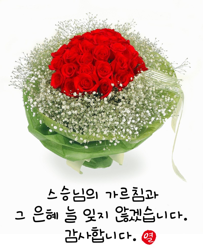 ♥ 5월 15일 스승의 날 문구, 이런 메시지 어때요? : 네이버 블로그