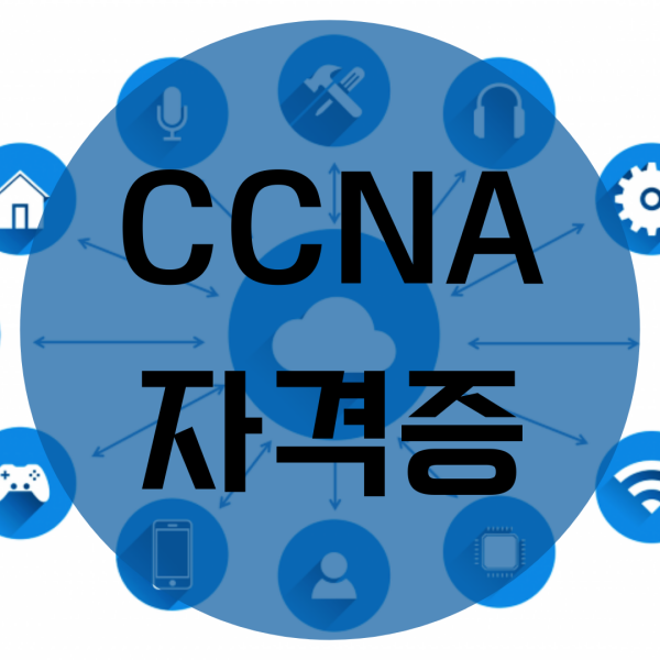  CCNA자격증 취득방법 알려주세요!