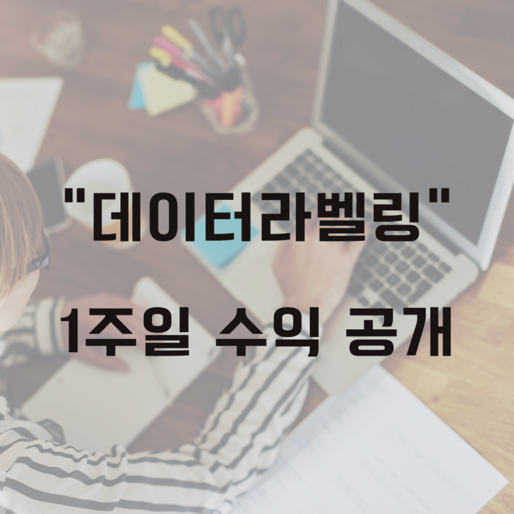  크라우드 웍스 데이터 라벨링 후기공개