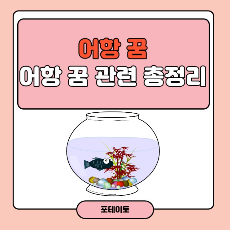  어항꿈, 어항 물고기 꿈 등을 꾸었다면 해몽 확인해보세요~