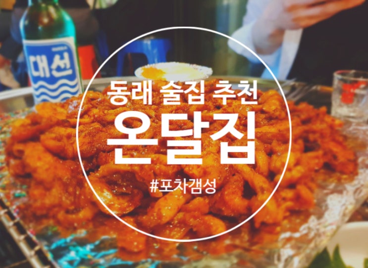  [동래술집] 동래 닭다리살 숯불구이가 맛있는 "온달집"