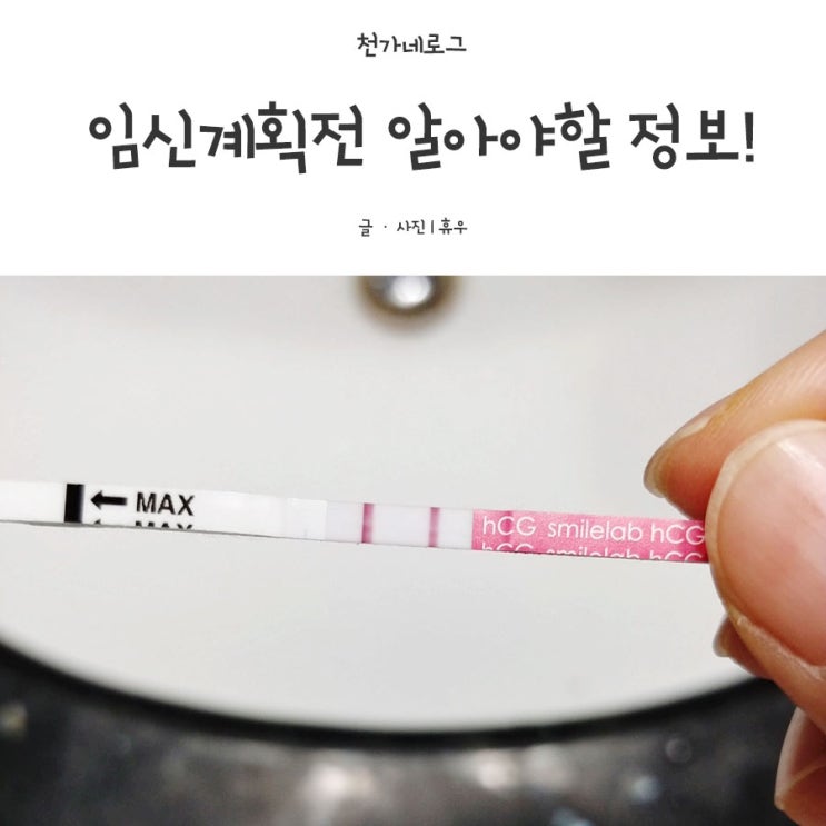  임신계획전 알아야할 정보