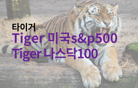  타이거 Tiger 미국s&p500, Tiger 나스닥100 etf 분석 및 세금, 수익률, 분배금 비교 정리