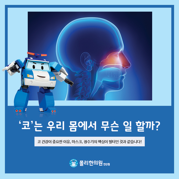  안산 비염 한의원, 코는 신체에서 어떤 역할을 할까?