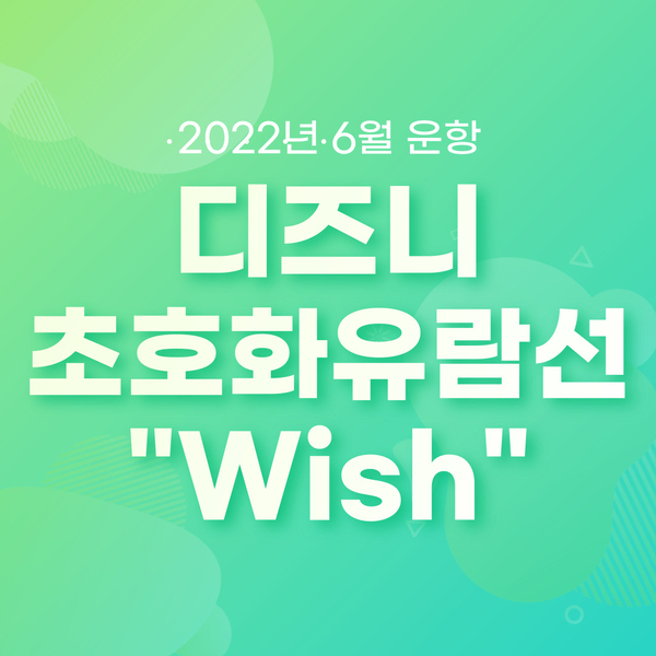  디즈니 5번째 초호화 유람선 Wish