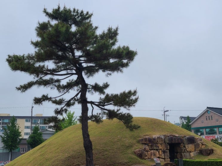 [경남-창녕] 비트코인보다 귀한 얼음 - 창녕 석빙고