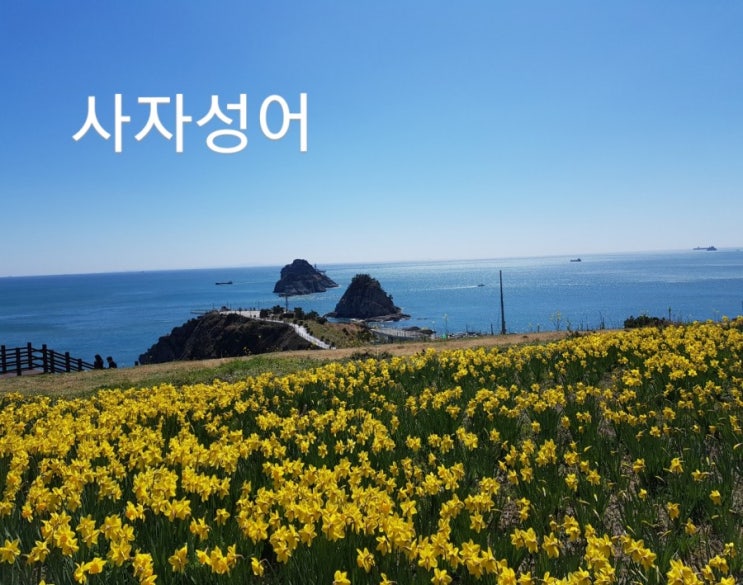  삼수갑산VS산수갑산/야반도주VS야밤도주/사자성어 바르게씁시다