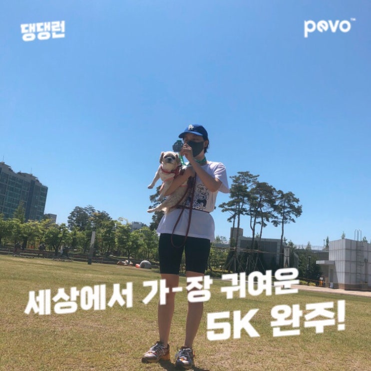  댕댕런2021 강아지마라톤 초코랑 완주했어요