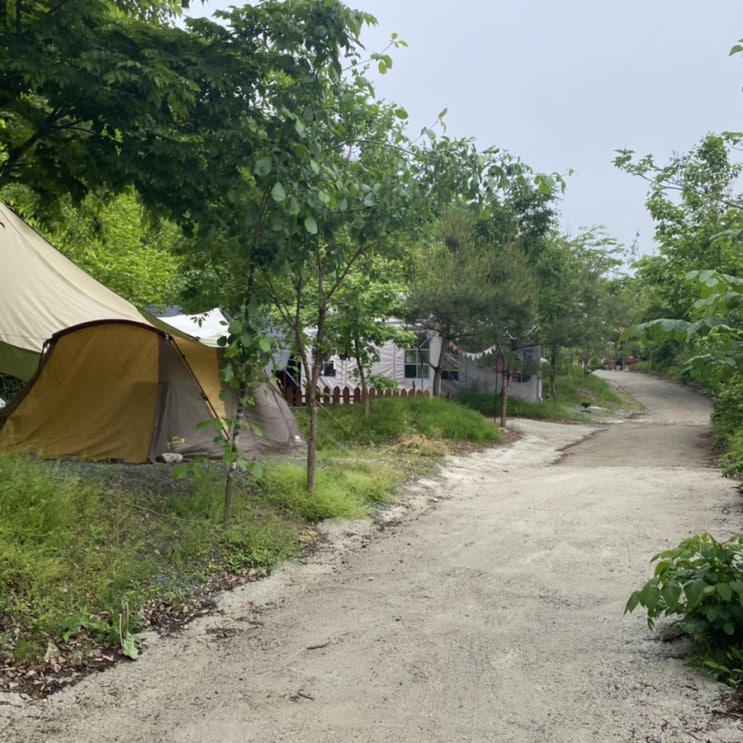  [합천]가야산백운오토캠핑장