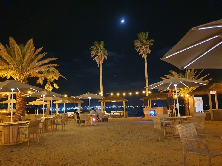  제주도핫플/제주 애월 비치클럽 일월선셋비치 & 제주 분위기 힙한 펍 싱싱잇