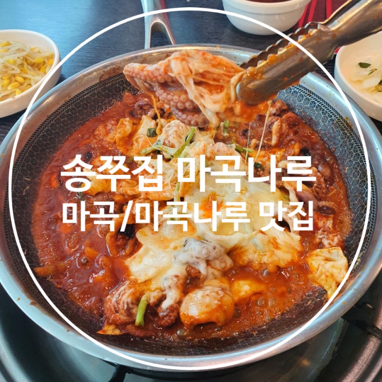  마곡나루역 맛집 [송쭈집 마곡나루점] :: 맵린이도 먹기 좋은 쭈꾸미!