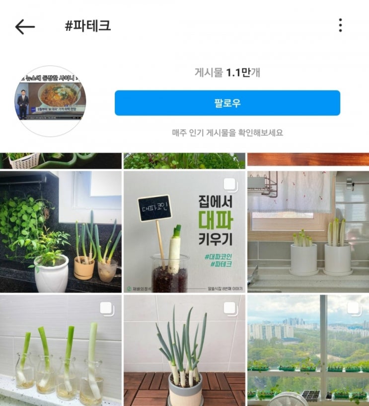 돈 아낄래, 파테크... 물가 상승 어디까지?