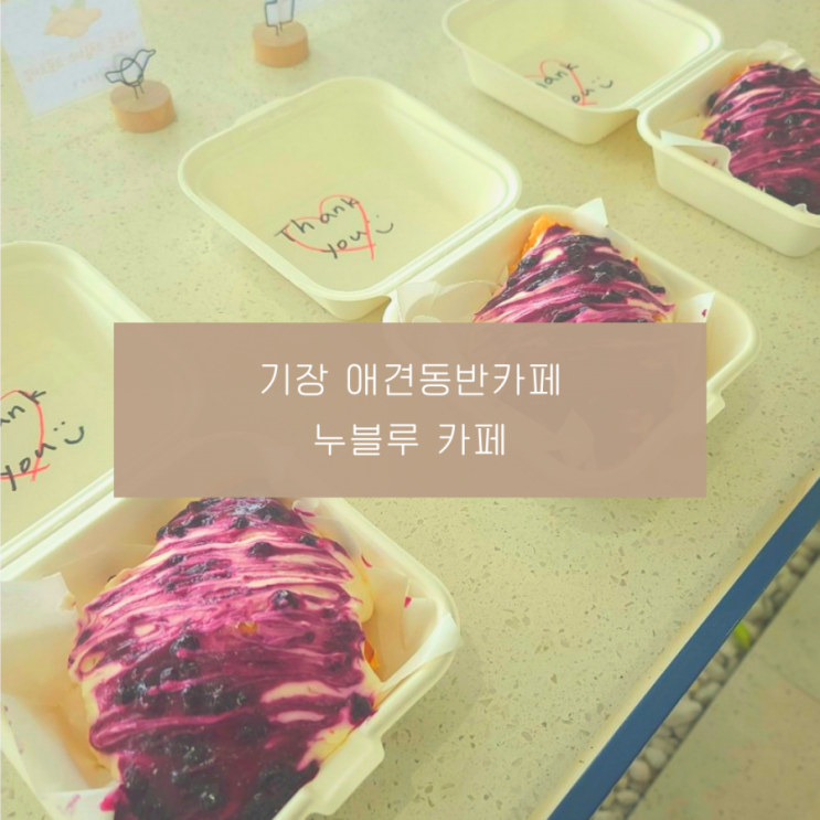 기장애견동반카페 누블루 베이커리카페 바다뷰 대형카페 기장애견동반카페 누블루 베이커리카페 바다뷰 대형카페