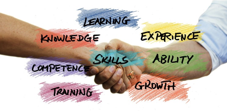  역량의 정의 / Definition of Competency