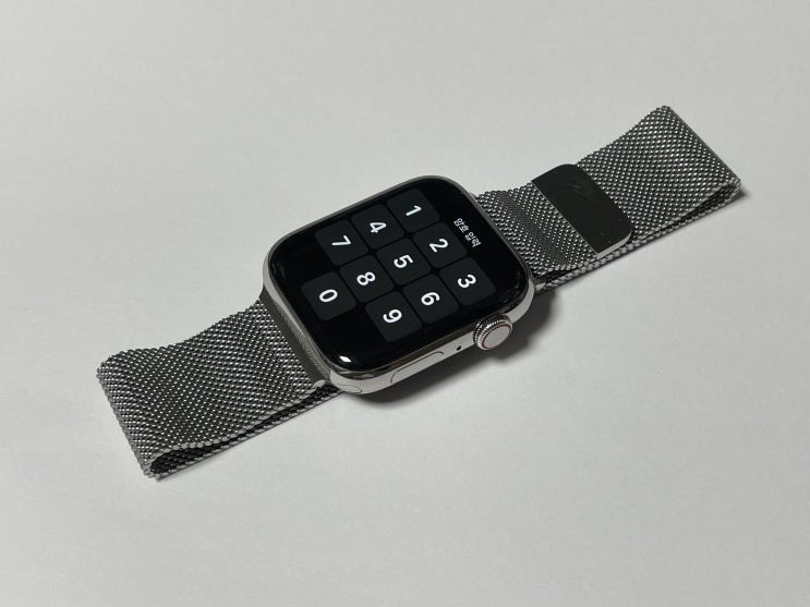  애플워치 6 44mm 스테인리스 스틸 + 밀레니즈루프