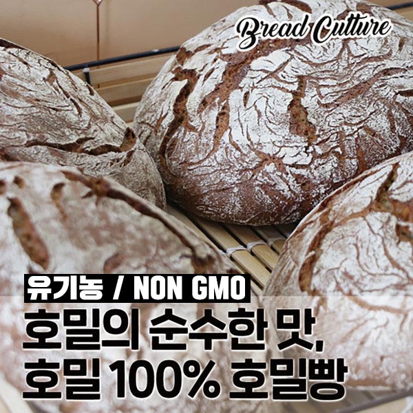 요즘 인기있는 브레드컬쳐 호밀빵 100% (유기농 통호밀 비건빵 당뇨 암 다이어트), 1개 좋아요 요즘 인기있는 브레드컬쳐 호밀빵 100% (유기농 통호밀 비건빵 당뇨 암 다이어트), 1개 좋아요