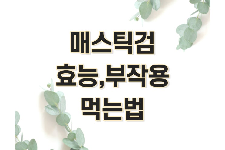  메스틱검 효능, 부작용, 먹는방법 정리 (메스틱, 매스틱검, 위메스틱)