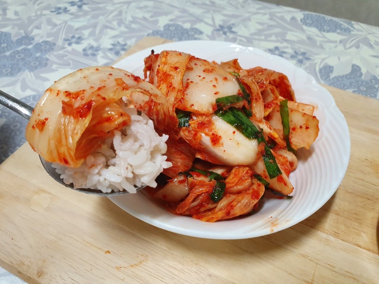 맛있고 신선한 겉절이 후기 김치쇼핑몰 동촌 김치