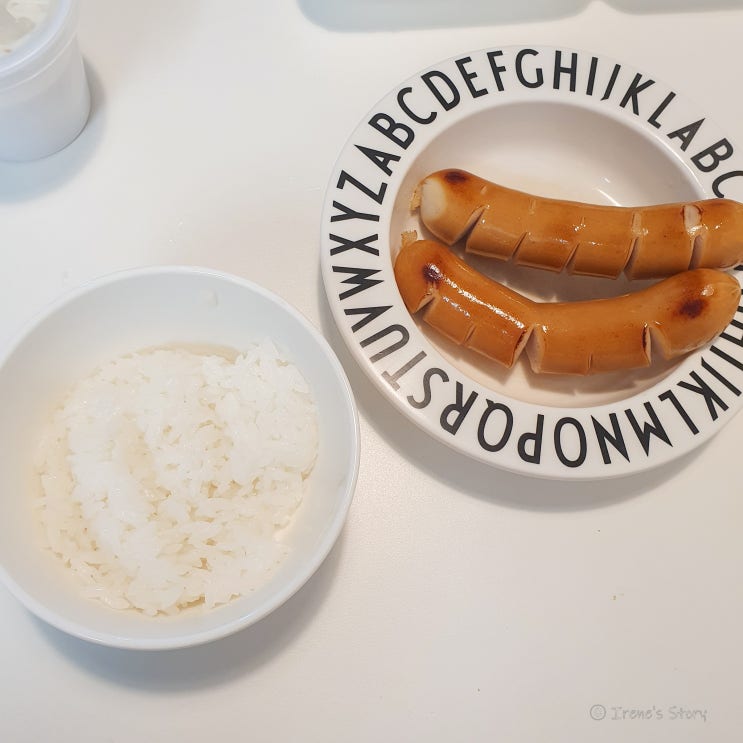 다이어트 33일차 식단 운동 기록