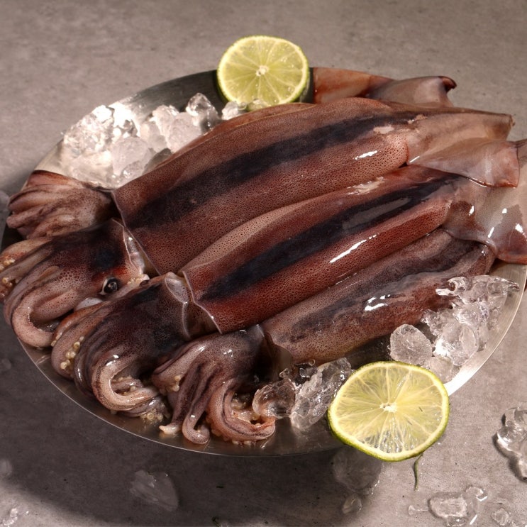 인기있는 동해 냉동 오징어 선동오징어, 3.수입오징어 중사이즈 2미 좋아요