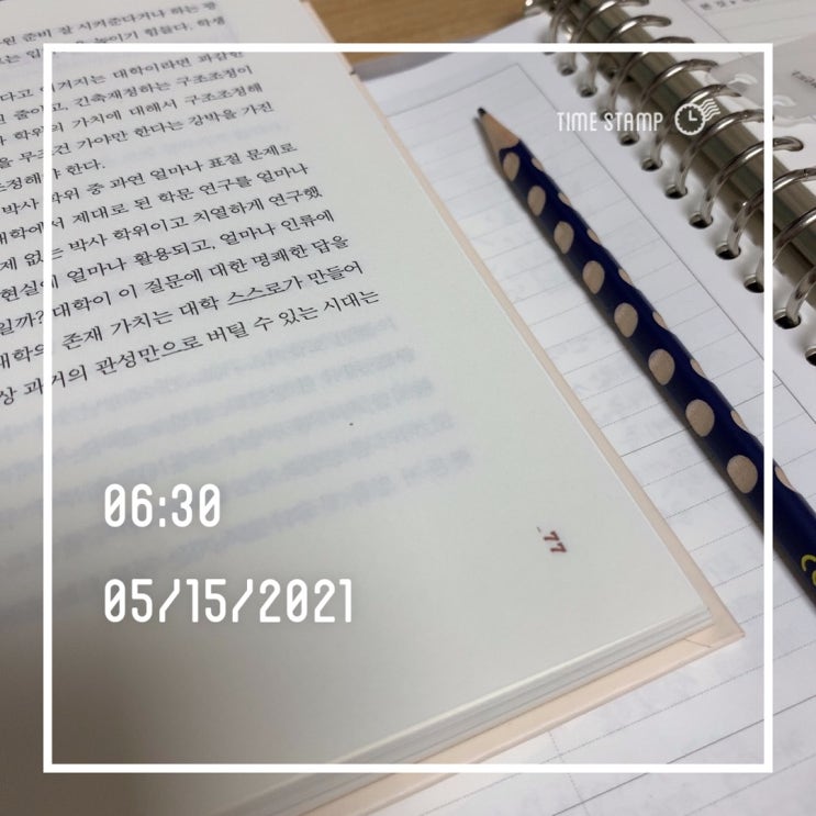  D+11 아침독서 30분