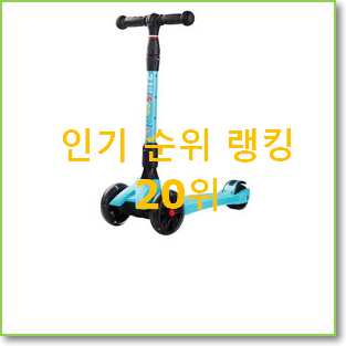  인기있는 21세기킥보드 꿀템 가성비 목록