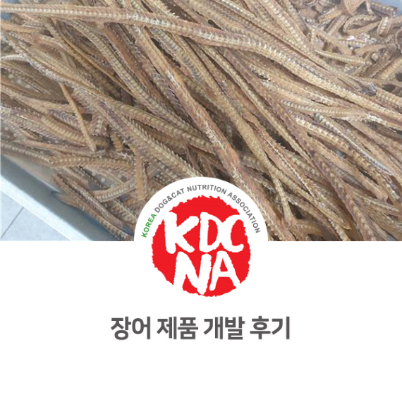  [펫푸드자격증/애견수제간식창업교육/강아지사료/한국반려동물영양협회/전주/대전/광주] 강아지 고양이 장어 제품 개발 후기_798