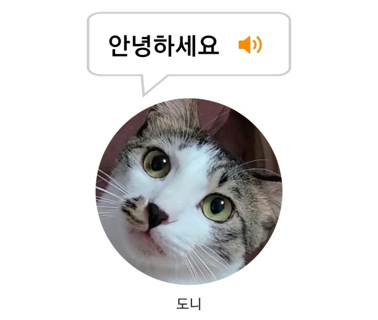  미야오톡어플 고양이가 하는말 번역해주는 번역기앱