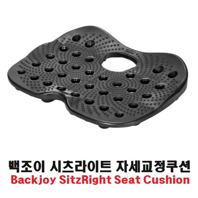 인지도 있는 UW64DC74 시츠라이트 백조이 co 바른자세쿠션 방석, 라이프 1 좋아요 인지도 있는 UW64DC74 시츠라이트 백조이 co 바른자세쿠션 방석, 라이프 1 좋아요